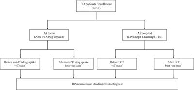 Effect of Acute Levodopa Up-Titration on Blood Pressure in Patients With Early Stage Parkinson’s Disease: Results of a Levodopa Challenge Test